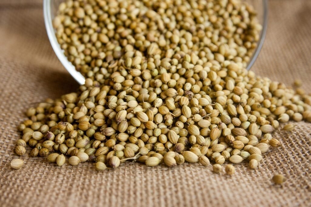 coriander, seeds, seasoning, ingredient, herb, fresh, aromatic, spices, condiment, indian, flavor, spicy, bowl, cooking, brown cooking, coriander, coriander, coriander, coriander, coriander