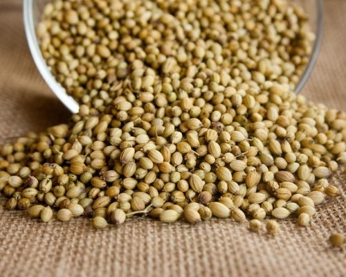 coriander, seeds, seasoning, ingredient, herb, fresh, aromatic, spices, condiment, indian, flavor, spicy, bowl, cooking, brown cooking, coriander, coriander, coriander, coriander, coriander